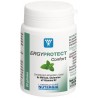 Nutergia Ergyprotect Confort 60 gélules