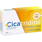 Cicatridine – Acide Hyaluronique Suppositoires, x10