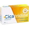 Cicatridine Acide Hyaluronique 10 Suppositoires