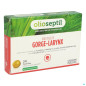 Olioseptil – Pastilles gorge-larynx miel plantes, x24