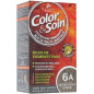 Color & Soin – 6A Blond Foncé Cendré