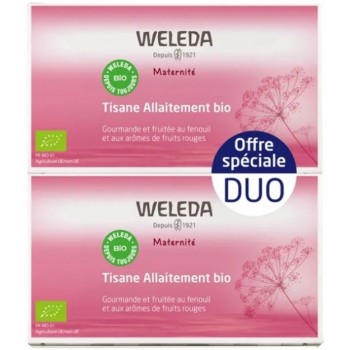 Maternité Tisane Allaitement Fruits Rouges Bio Lot de 2 x 20 Sachets