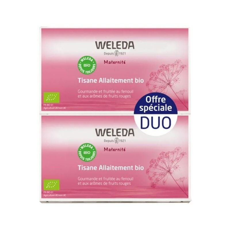 Maternité Tisane Allaitement Fruits Rouges Bio Lot de 2 x 20 Sachets