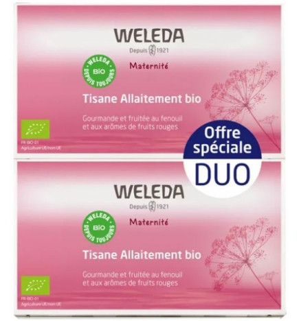 Maternité Tisane Allaitement Fruits Rouges Bio Lot de 2 x 20 Sachets