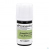 Pranarom Encens Oliban Somalie Bio Hle Ess 5ml