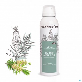 Pranarom Hydrolat Tea Tree...