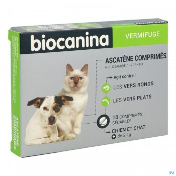 Ascatene Comprime Chien...