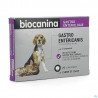 Gastroentericanis Comprime Chien Chat 20