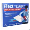 Flect'expert Patch Gaultherie Effet Froid Puis Chaud X5
