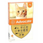 Advocate – Chat petit, spot-on solution 0,4 ml x3
