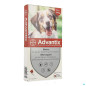 Advantix – Chien Moyen, Spot On Solution 2,5 ml, 4 pipettes Advantix – Chien Moyen, Spot On Solution 2,5 ml, 4 pipettes