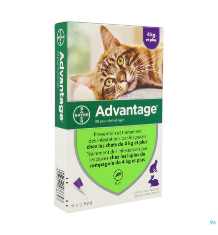 Advantage – Chat & Lapin, Spot On Solution 0,8 ml, X6