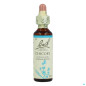 Bach – Fleurs de Bach Original Chicory N°8, 20 ml