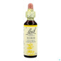 Bach – Fleurs de Bach Original Gorse N°13, 20 ml