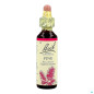 Bach – Fleurs de Bach Original Pine N°24, 20 ml Bach – Fleurs de Bach Original Pine N°24, 20 ml