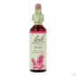 Bach – Fleurs de Bach Original Pine N°24, 20 ml Bach – Fleurs de Bach Original Pine N°24, 20 ml