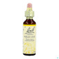 Bach – Fleurs de Bach Original Wild Oat N°36, 20 ml