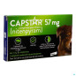 Capstar – Insecticide chien, 57 mg, 6 comprimés