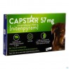 Capstar 57mg Insecticide Chien Comprime 6