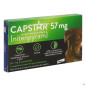 Capstar – Insecticide chien, 57 mg, 6 comprimés