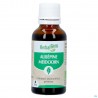 Herbalgem Aubepine Bourgeon Macerat Glyc Bio 30ml