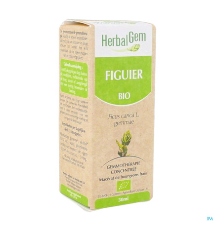Herbalgem – Figuier Bourgeon Macérat Glycériné Bio, 30 ml