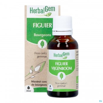 Herbalgem Figuier Bourgeon...