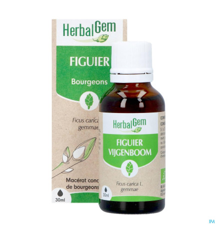 Herbalgem – Figuier Bourgeon Macérat Glycériné Bio, 30 ml