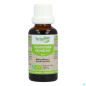 Herbalgem – Framboisier Bourgeon Macérat Glycériné Bio, 30 ml