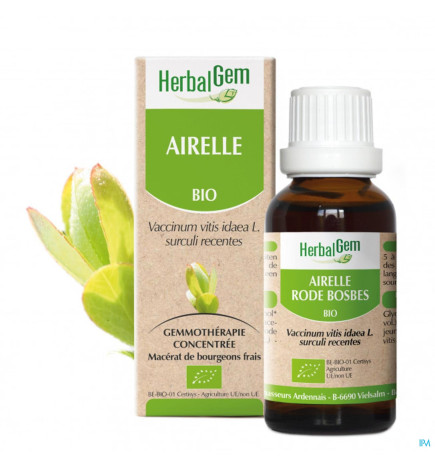 Herbalgem – Airelle JP Bourgeon Macérat Glycériné Bio, 30 ml