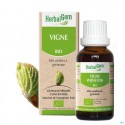 Roc Keops Deodorant Stick 2 x 40 ML