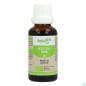 Herbalgem – Bouleau Bourgeon Macérat Glycériné Bio, 30 ml Herbalgem – Bouleau Bourgeon Macérat Glycériné Bio, 30 ml