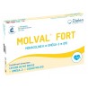 Diélen MOLVAL®FORT 90