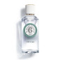 Roger & Gallet – Parfum Vétyver, 100 ml