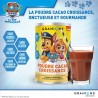 Granions Pat Patrouille Poudre Croissance Cacao 300g