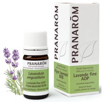 Pranarôm Huile Essentielle Lavande Fine AOP 5ml