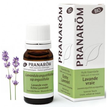 Pranarôm Huile Essentielle Lavande Vraie Bio 10ml