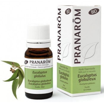 Pranarôm Huile Essentielle Eucalyptus Globuleux Bio 10ml