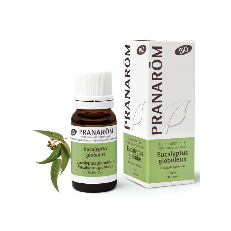 Pranarôm Huile Essentielle Eucalyptus Globuleux Bio 10ml