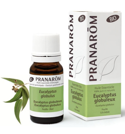 Pranarôm Huile Essentielle Eucalyptus Globuleux Bio 10ml