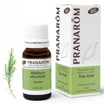 Pranarôm Huile essentielle Tea Tree Bio 10ml