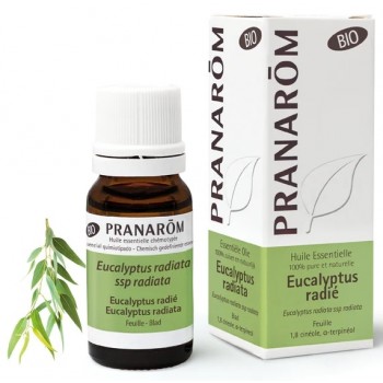 Pranarôm Huile essentielle Eucalyptus Radié Bio 10ml