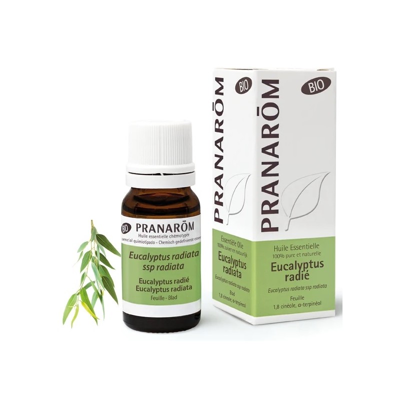 Pranarôm Huile essentielle Eucalyptus Radié Bio 10ml