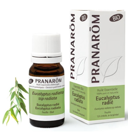 Pranarôm Huile essentielle Eucalyptus Radié Bio 10ml