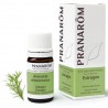 Pranarôm Huile Essentielle Estragon 5ml