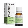 Pranarôm Huile Essentielle Ravintsara Bio 10ml