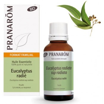 Pranarôm Huile essentielle Eucalyptus Radié Bio 30ml