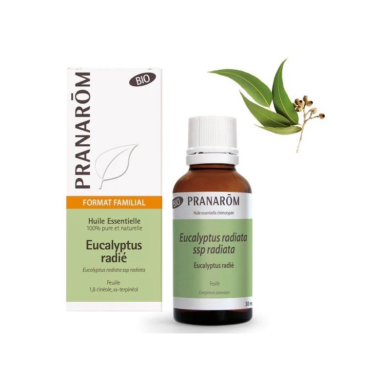 Pranarôm Huile essentielle Eucalyptus Radié Bio 30ml