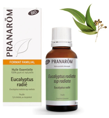Pranarôm Huile essentielle Eucalyptus Radié Bio 30ml