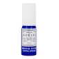 RICQLES – Spray Buccal Menthe Forte, 15 ml